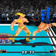 Illustration for article titled The Evolution Of Crazy Japanese Professional Wrestling Video Games